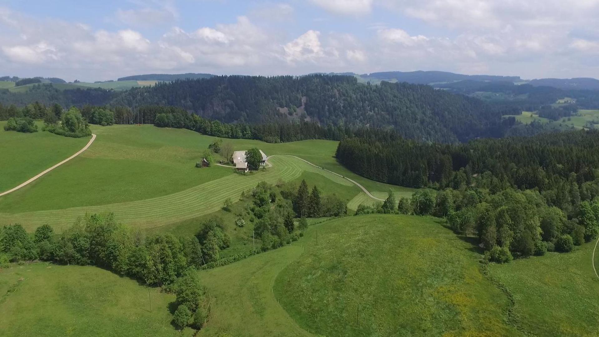 Ferienhaus Esche Hinterzarten Luaran gambar