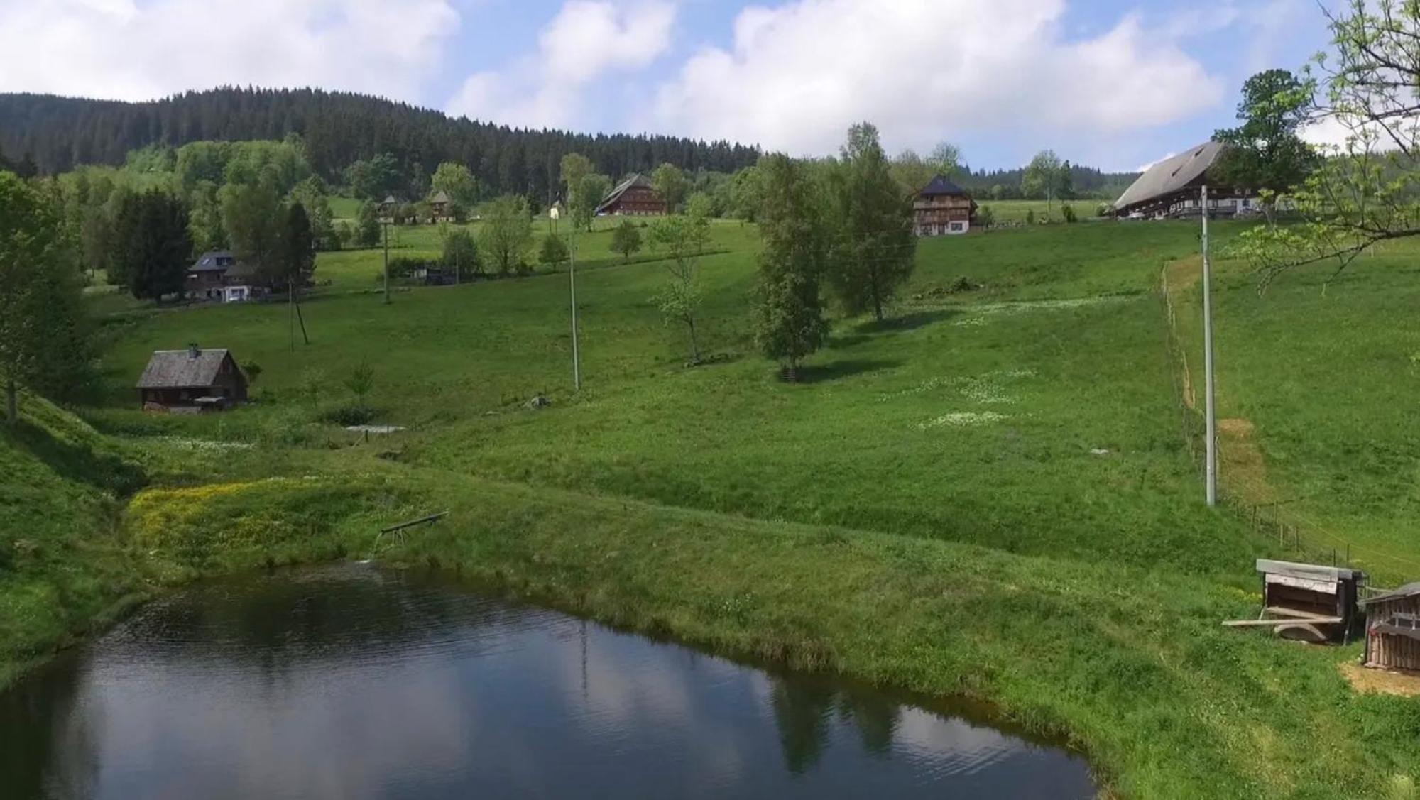 Ferienhaus Esche Hinterzarten Luaran gambar