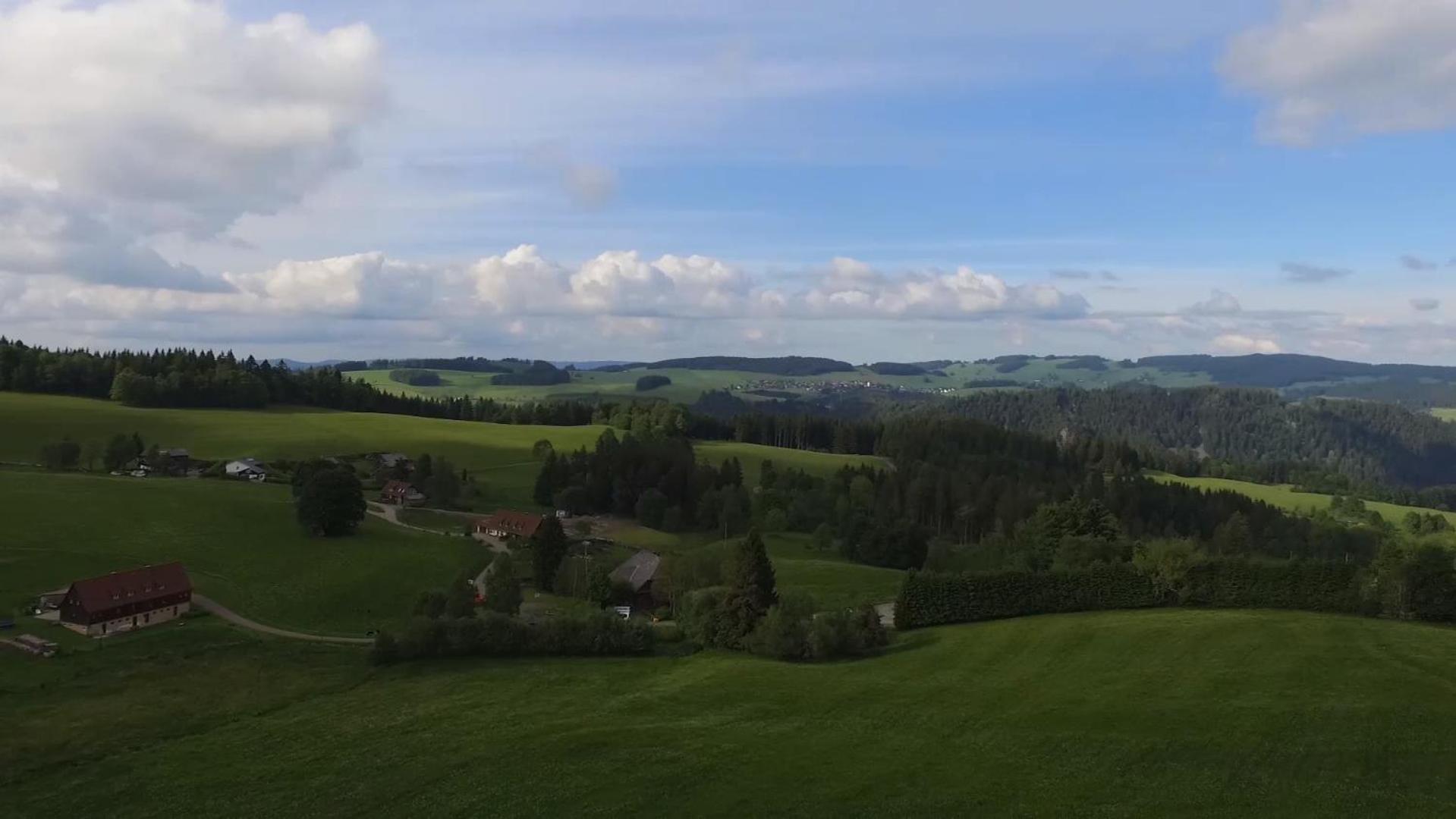 Ferienhaus Esche Hinterzarten Luaran gambar
