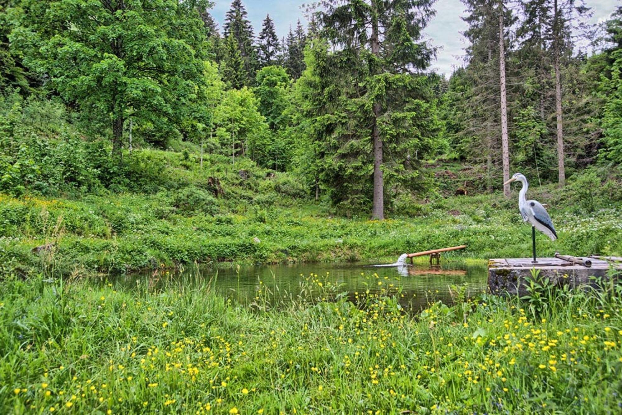 Ferienhaus Esche Hinterzarten Luaran gambar