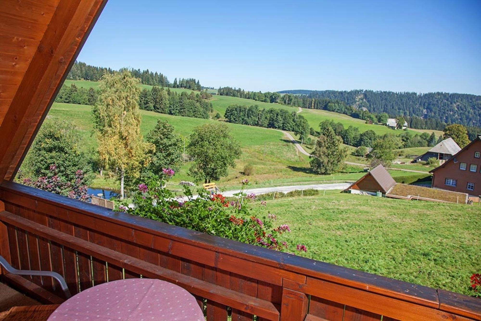Ferienhaus Esche Hinterzarten Luaran gambar