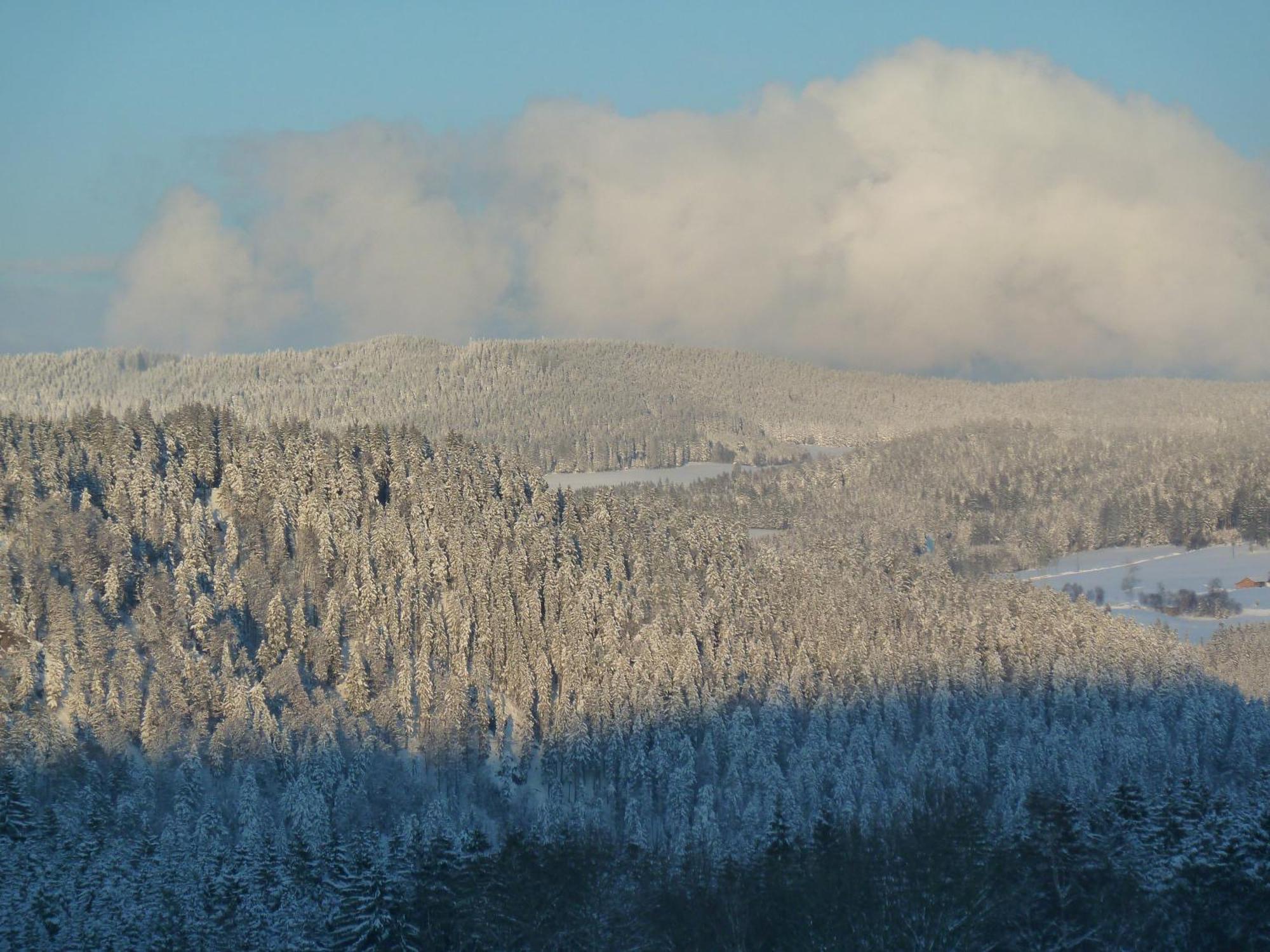 Ferienhaus Esche Hinterzarten Luaran gambar