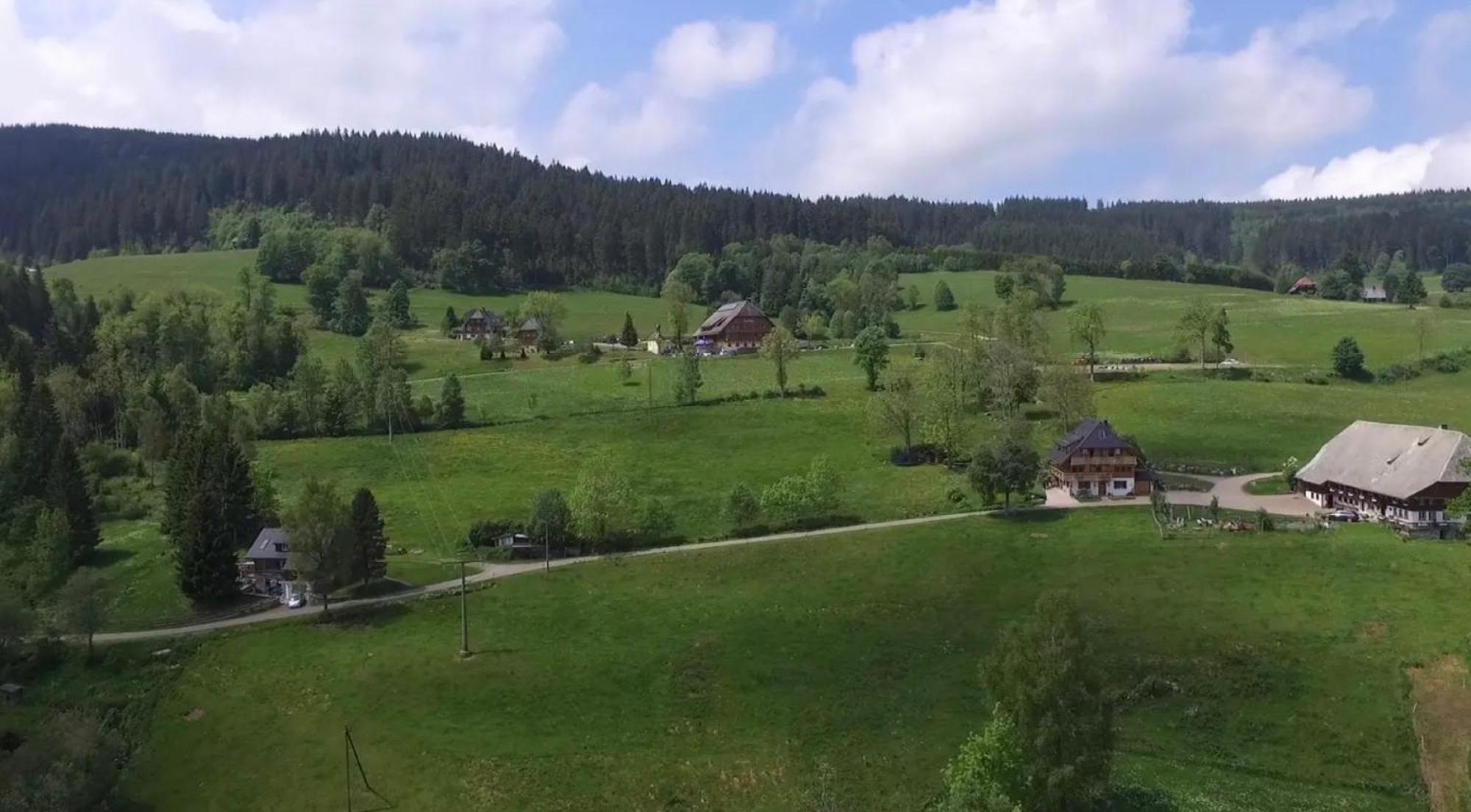 Ferienhaus Esche Hinterzarten Luaran gambar