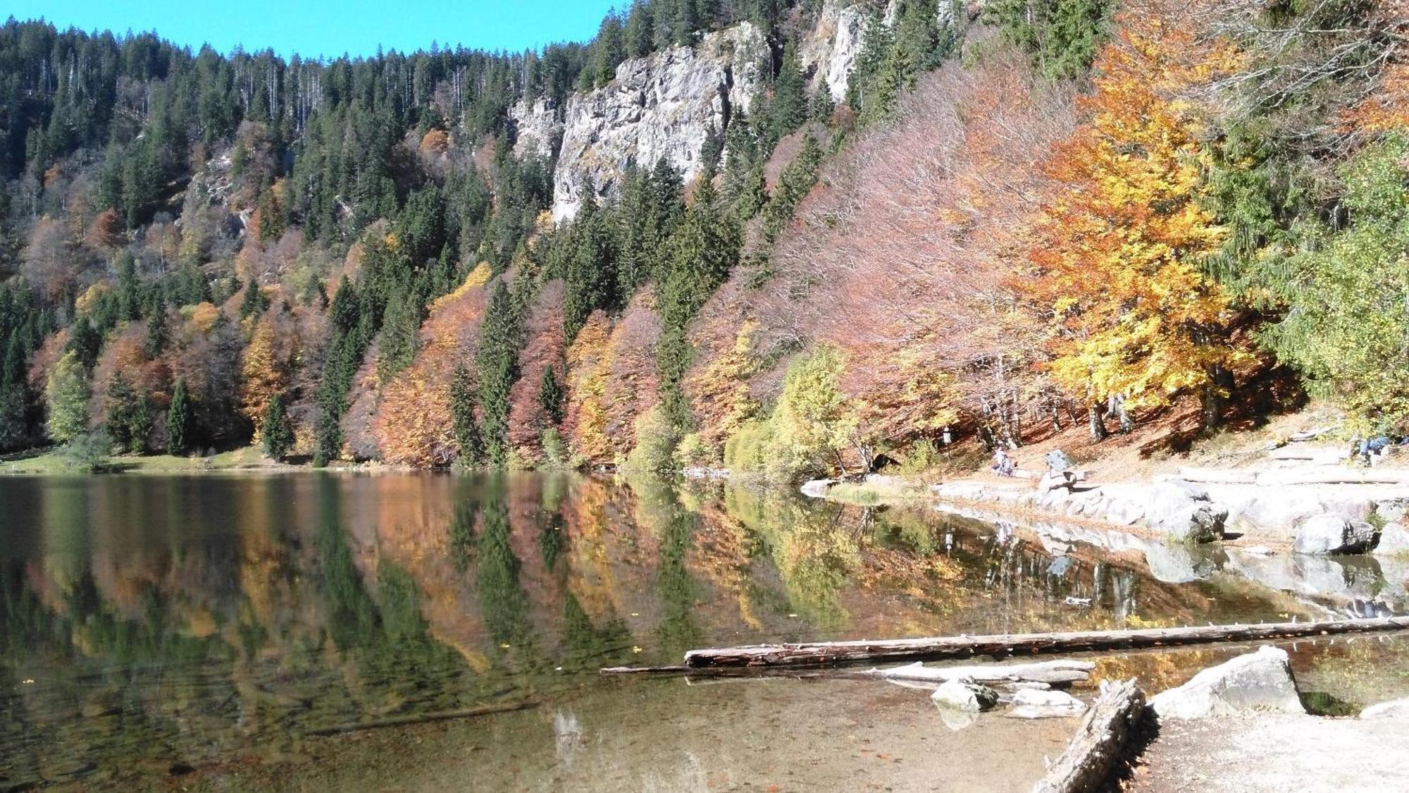 Ferienhaus Esche Hinterzarten Luaran gambar