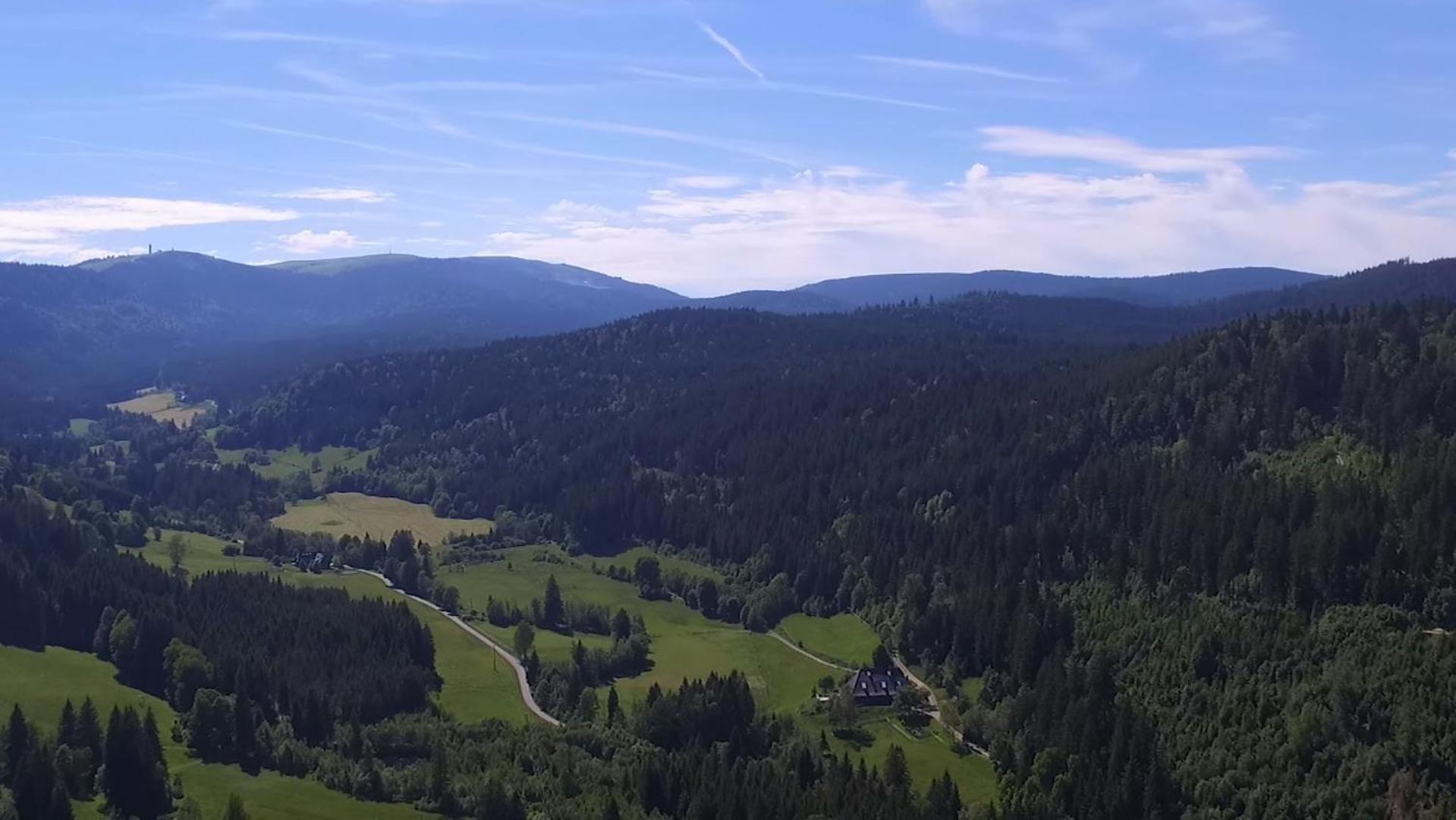 Ferienhaus Esche Hinterzarten Luaran gambar