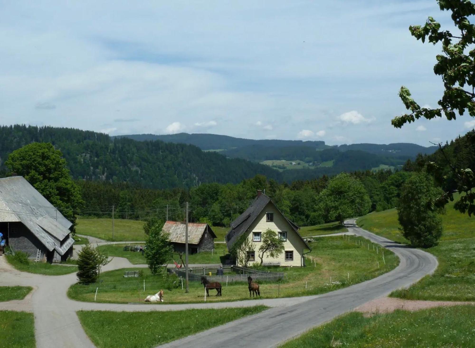 Ferienhaus Esche Hinterzarten Luaran gambar